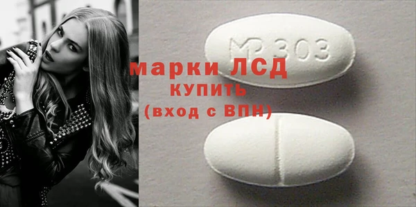индика Карпинск