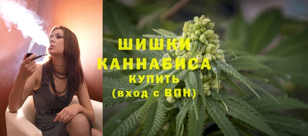 индика Карпинск