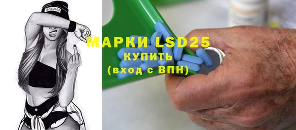 индика Карпинск
