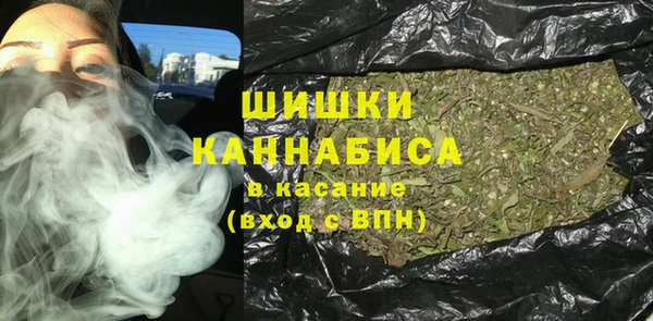 индика Карпинск