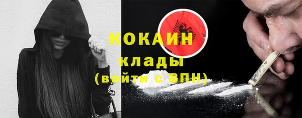 индика Карпинск