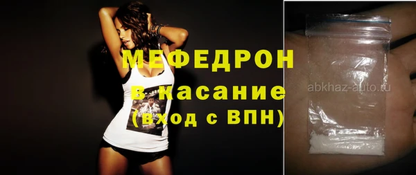 индика Карпинск