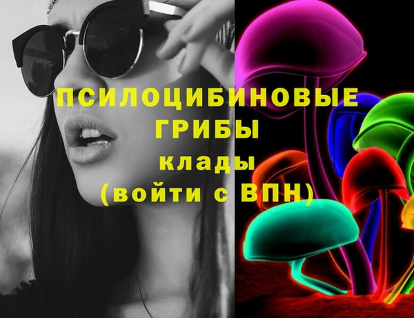 ПСИЛОЦИБИНОВЫЕ ГРИБЫ Киреевск
