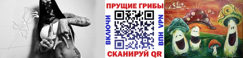 Галлюциногенные грибы Psilocybe  Купить  Ермолино 